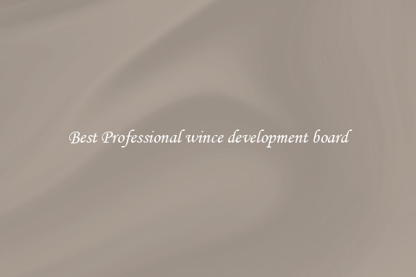 Best Professional wince development board