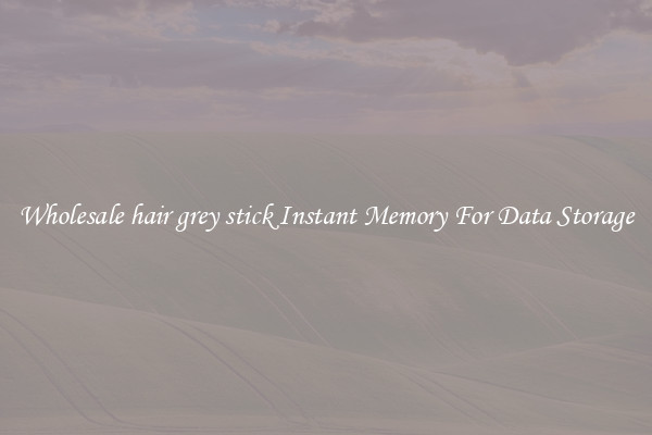 Wholesale hair grey stick Instant Memory For Data Storage