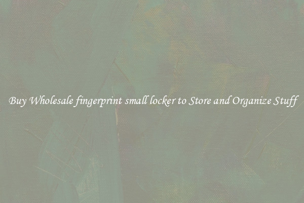 Buy Wholesale fingerprint small locker to Store and Organize Stuff