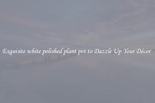 Exquisite white polished plant pot to Dazzle Up Your Décor  