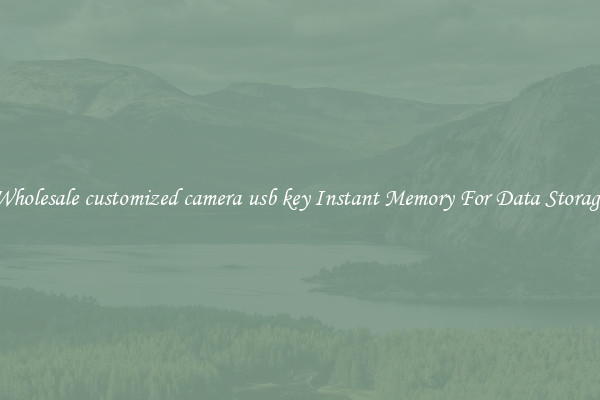Wholesale customized camera usb key Instant Memory For Data Storage