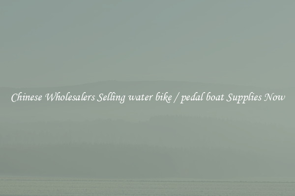 Chinese Wholesalers Selling water bike / pedal boat Supplies Now