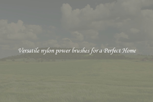 Versatile nylon power brushes for a Perfect Home