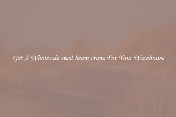 Get A Wholesale steel beam crane For Your Warehouse