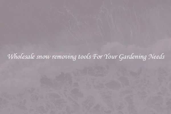 Wholesale snow removing tools For Your Gardening Needs