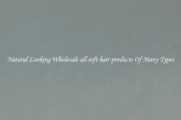 Natural Looking Wholesale all soft hair products Of Many Types