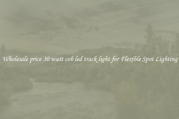 Wholesale price 30 watt cob led track light for Flexible Spot Lighting