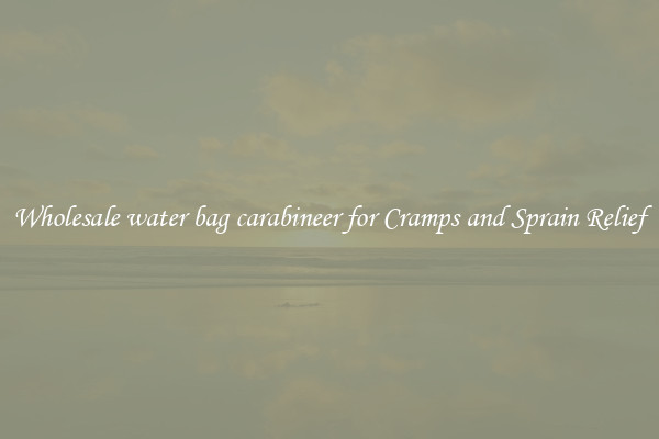 Wholesale water bag carabineer for Cramps and Sprain Relief