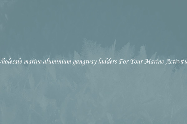 Wholesale marine aluminium gangway ladders For Your Marine Activities 