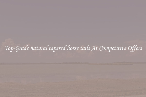 Top-Grade natural tapered horse tails At Competitive Offers