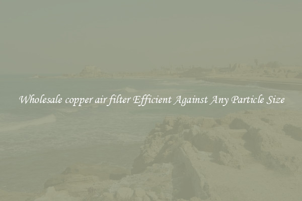 Wholesale copper air filter Efficient Against Any Particle Size