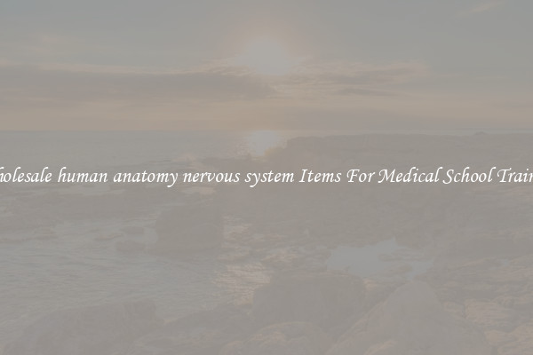 Wholesale human anatomy nervous system Items For Medical School Training
