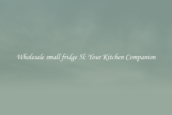 Wholesale small fridge 5l: Your Kitchen Companion