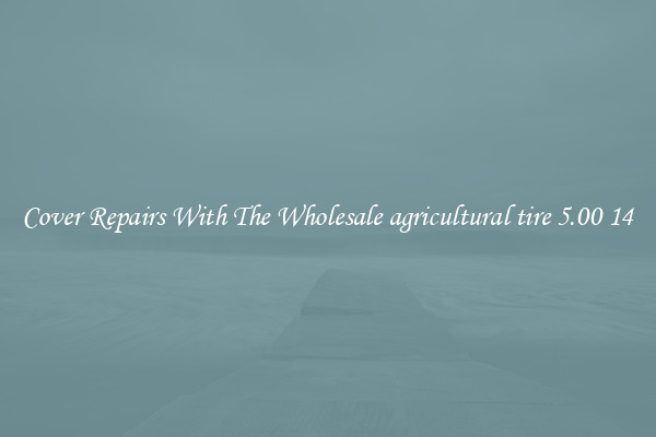  Cover Repairs With The Wholesale agricultural tire 5.00 14 