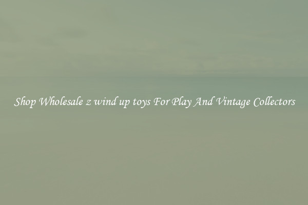 Shop Wholesale z wind up toys For Play And Vintage Collectors
