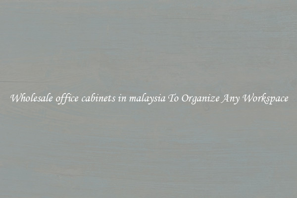 Wholesale office cabinets in malaysia To Organize Any Workspace