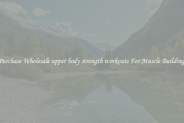 Purchase Wholesale upper body strength workouts For Muscle Building.