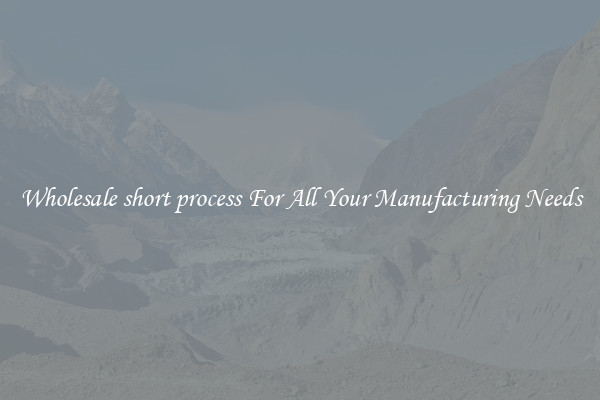 Wholesale short process For All Your Manufacturing Needs