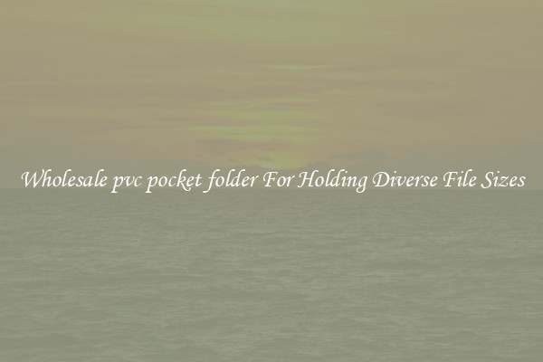 Wholesale pvc pocket folder For Holding Diverse File Sizes
