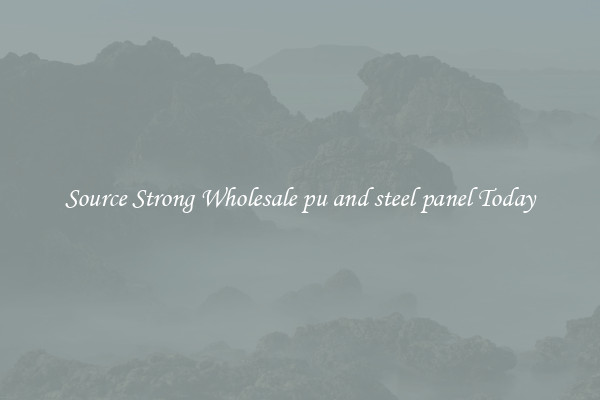 Source Strong Wholesale pu and steel panel Today