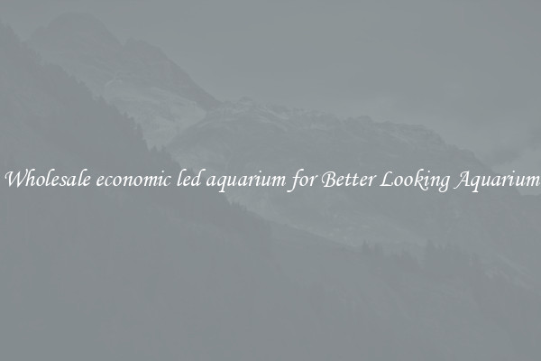 Wholesale economic led aquarium for Better Looking Aquarium