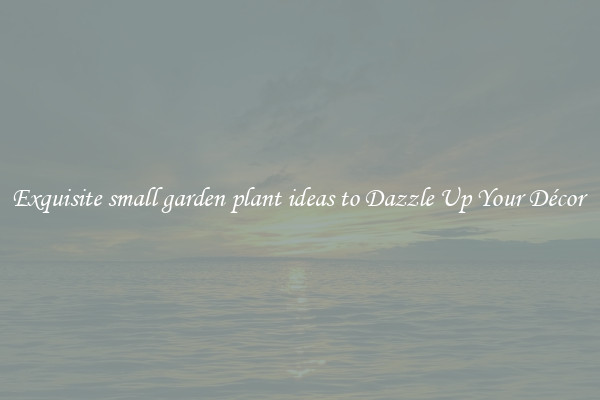 Exquisite small garden plant ideas to Dazzle Up Your Décor 