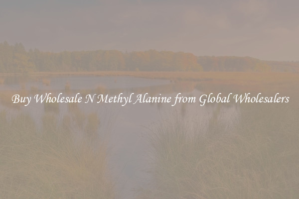 Buy Wholesale N Methyl Alanine from Global Wholesalers