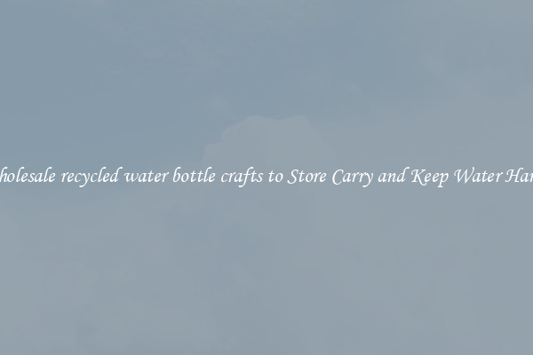 Wholesale recycled water bottle crafts to Store Carry and Keep Water Handy