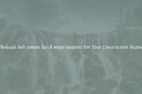 Wholesale belt cement batch mixer stations For Your Construction Business